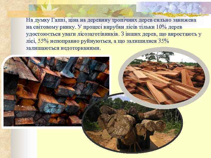 На думку Гаппі, ціна на деревину тропічних дерев сильно занижена на світовому ринку. У