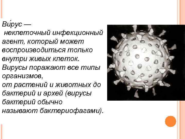 Вирус это неклеточная форма. Вирус - это неклеточный инфекционный агент. Неклеточные микробы. Вирусы это неклеточные инфекционные агенты который могут. Вирусы это неклеточный инф.