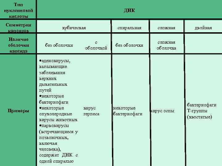 Тип нуклеиновой кислоты Симметрия капсидов ДНК кубическая Наличие оболочки капсида без оболочки Примеры аденовирусы,