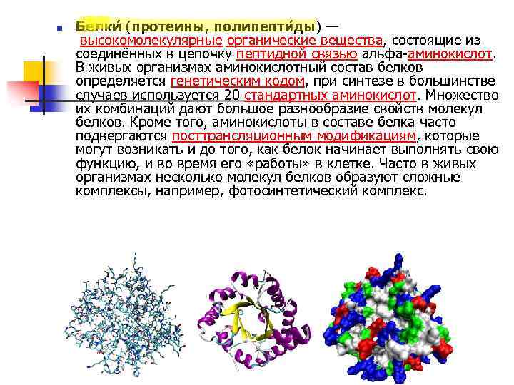 n Белки (протеины, полипепти ды) — высокомолекулярные органические вещества, состоящие из соединённых в цепочку