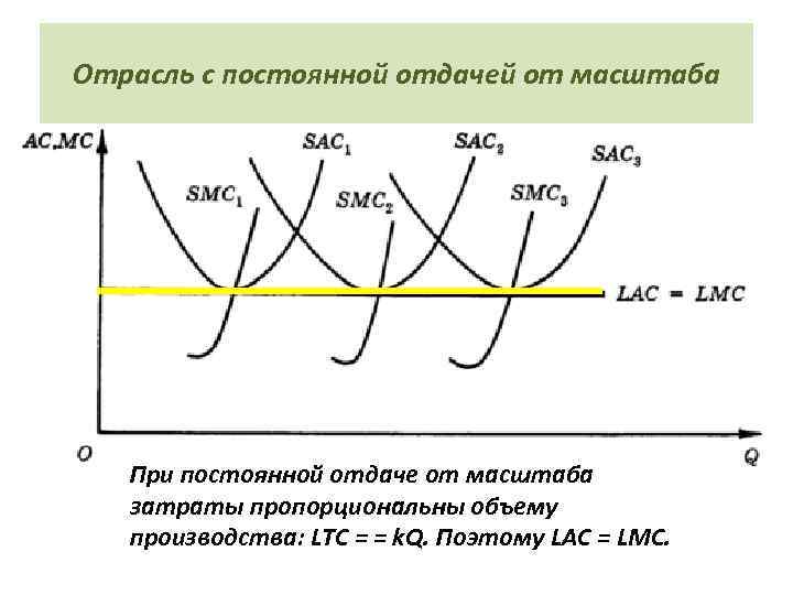 Отрасль с постоянной отдачей от масштаба При постоянной отдаче от масштаба затраты пропорциональны объему
