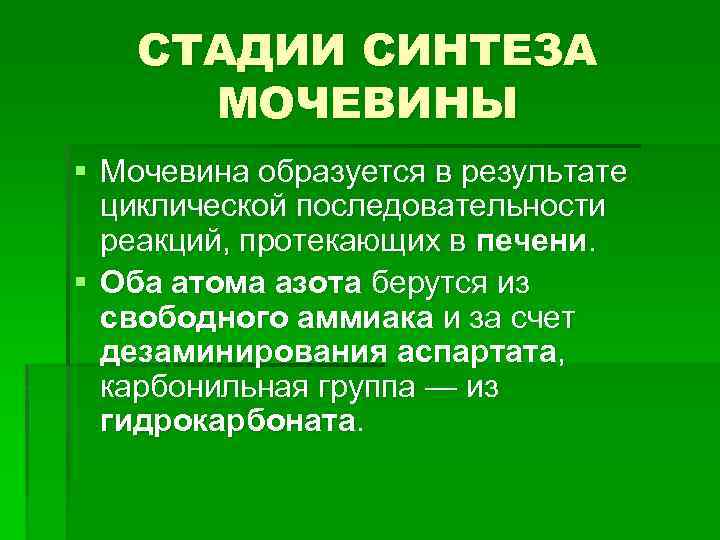 СТАДИИ СИНТЕЗА МОЧЕВИНЫ § Мочевина образуется в результате циклической последовательности реакций, протекающих в печени.