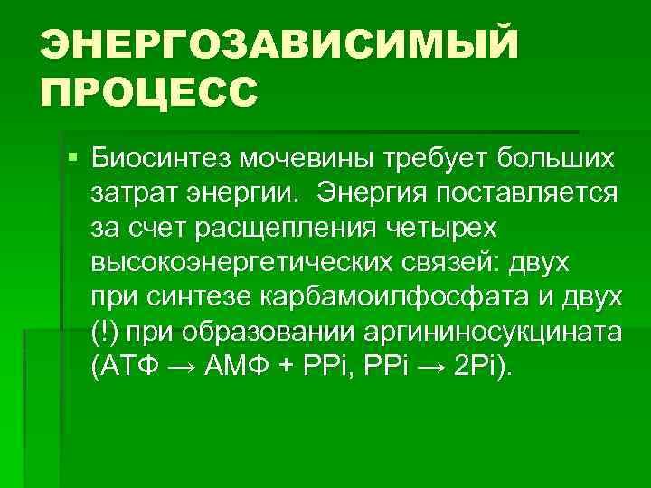 ЭНЕРГОЗАВИСИМЫЙ ПРОЦЕСС § Биосинтез мочевины требует больших затрат энергии. Энергия поставляется за счет расщепления