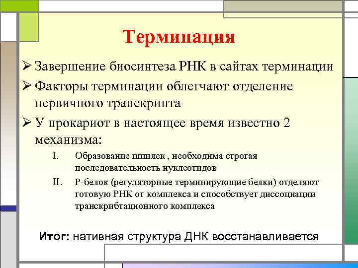 Терминация Ø Завершение биосинтеза РНК в сайтах терминации Ø Факторы терминации облегчают отделение первичного