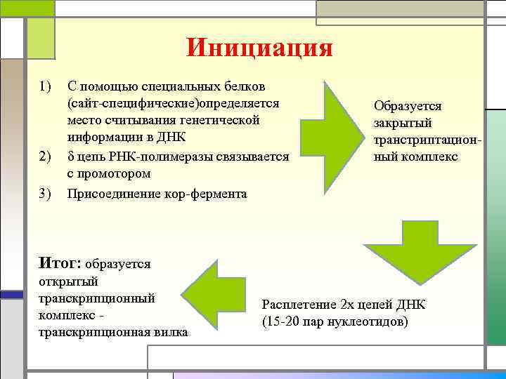 Инициация 1) 2) 3) С помощью специальных белков (сайт-специфические)определяется место считывания генетической информации в