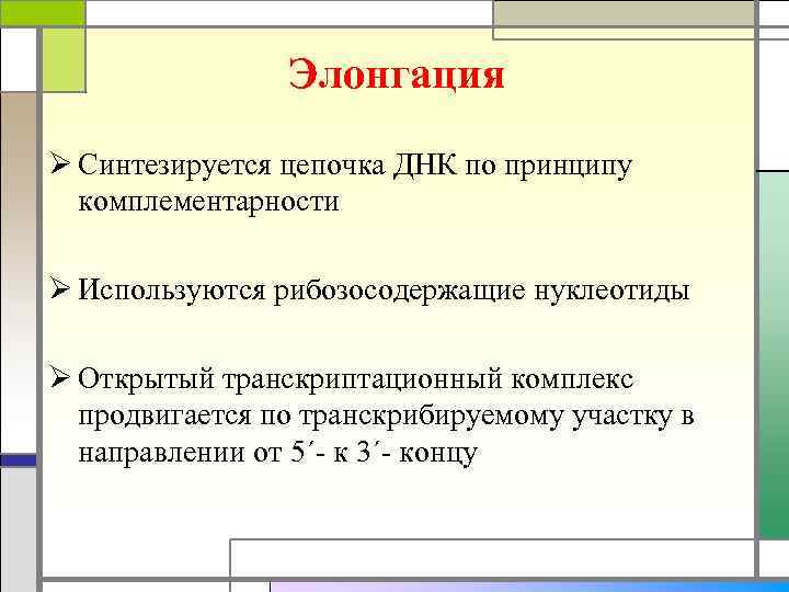 Элонгация Ø Синтезируется цепочка ДНК по принципу комплементарности Ø Используются рибозосодержащие нуклеотиды Ø Открытый
