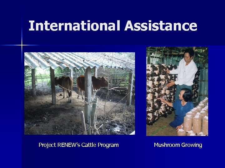 International Assistance Project RENEW’s Cattle Program Mushroom Growing 