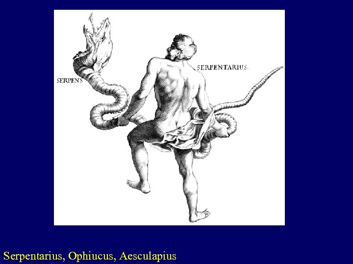 Serpentarius, Ophiucus, Aesculapius 