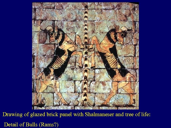Drawing of glazed brick panel with Shalmaneser and tree of life: Detail of Bulls