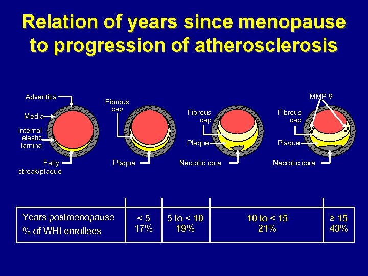 Relation of years since menopause to progression of atherosclerosis Adventitia Media MMP-9 Fibrous cap