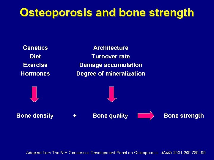 Osteoporosis and bone strength Genetics Diet Exercise Hormones Bone density Architecture Turnover rate Damage