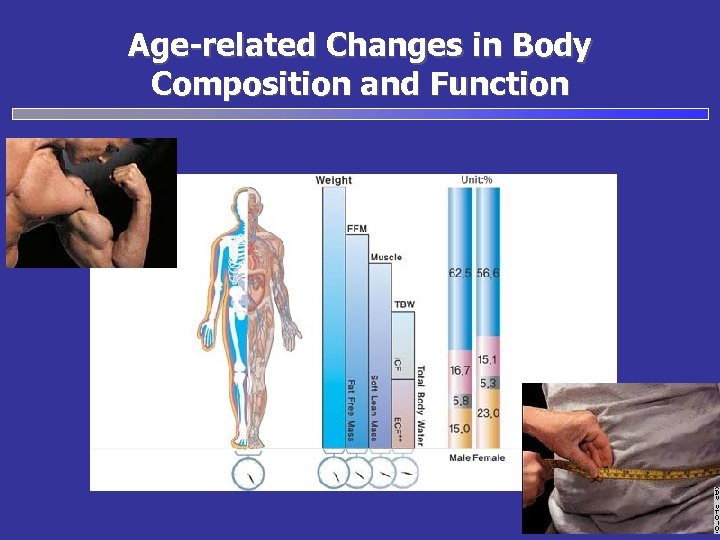 Age-related Changes in Body Composition and Function 