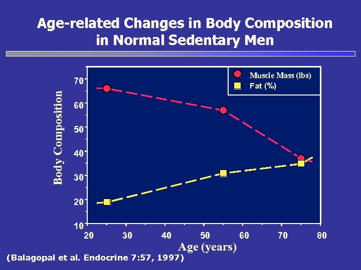 Age-related Changes in Body Composition in Normal Sedentary Men Muscle Mass (lbs) Fat (%)