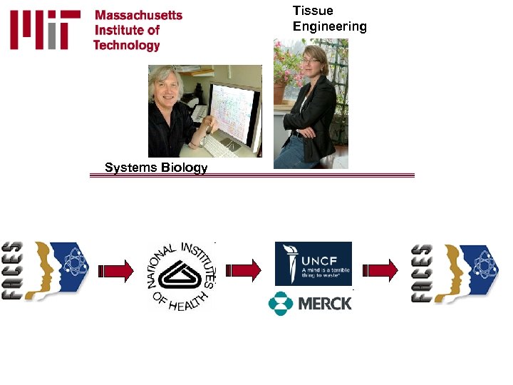 Tissue Engineering Systems Biology 