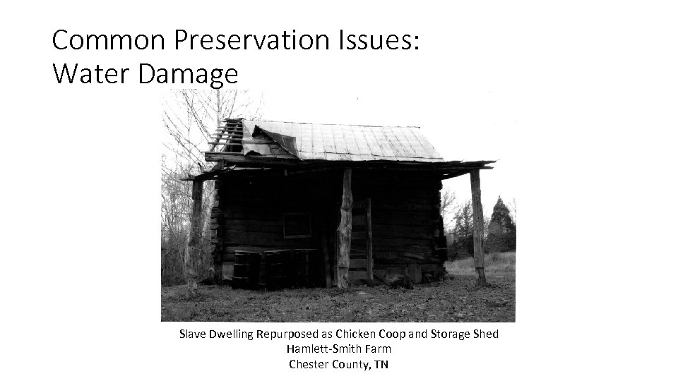 Common Preservation Issues: Water Damage Slave Dwelling Repurposed as Chicken Coop and Storage Shed