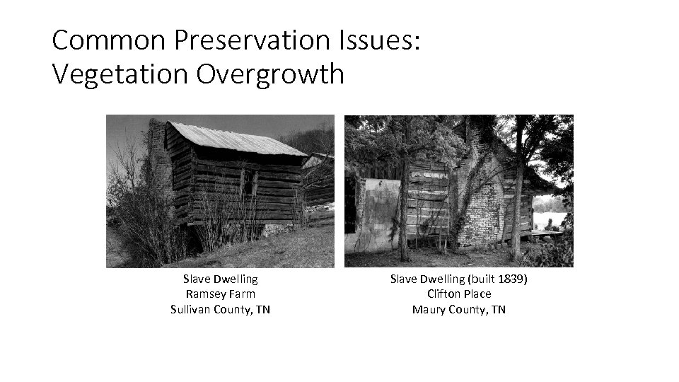 Common Preservation Issues: Vegetation Overgrowth Slave Dwelling Ramsey Farm Sullivan County, TN Slave Dwelling