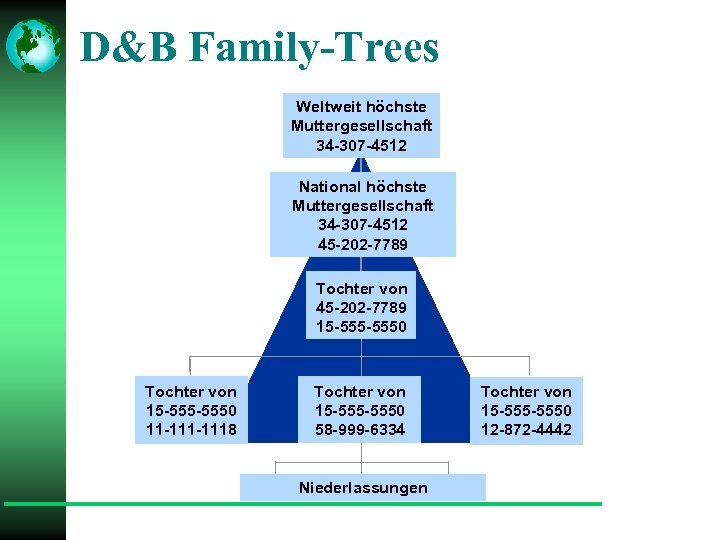 D&B Family-Trees Weltweit höchste Muttergesellschaft 34 -307 -4512 National höchste Muttergesellschaft 34 -307 -4512