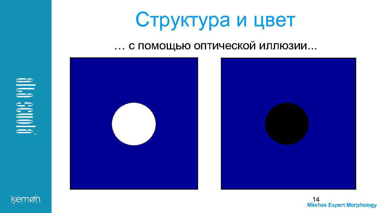 Структура и цвет … с помощью оптической иллюзии. . . 14 Mèches Expert Morphology