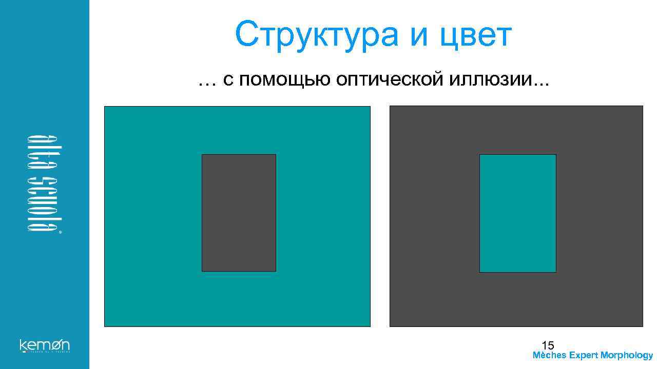 Структура и цвет … с помощью оптической иллюзии. . . 15 Mèches Expert Morphology