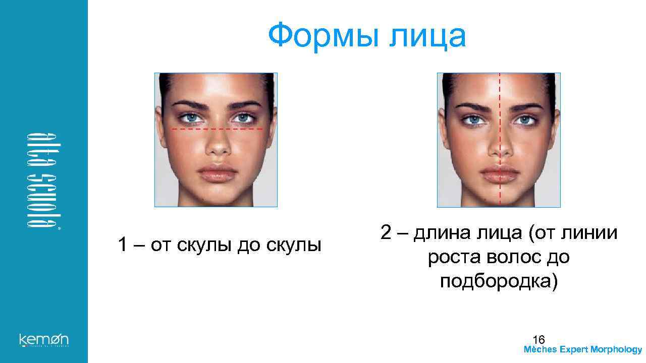 Формы лица 1 – от скулы до скулы 2 – длина лица (от линии