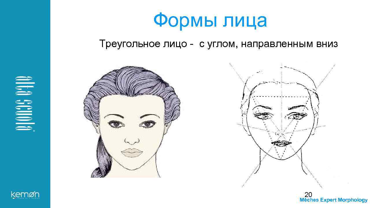 Формы лица Треугольное лицо - с углом, направленным вниз 20 Mèches Expert Morphology 