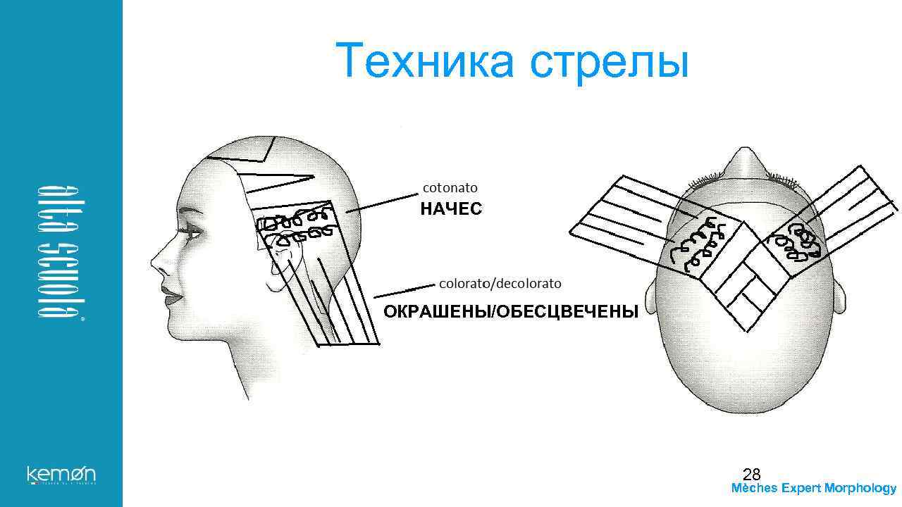 Техника стрелы НАЧЕС ОКРАШЕНЫ/ОБЕСЦВЕЧЕНЫ 28 Mèches Expert Morphology 