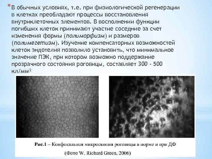 * В обычных условиях, т. е. при физиологической регенерации в клетках преобладают процессы восстановления