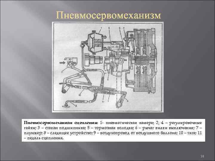 Пневмосервомеханизм сцепления: 1 - пневматическая камера; 2, 4 – регулировочные гайки; 3 – стакан