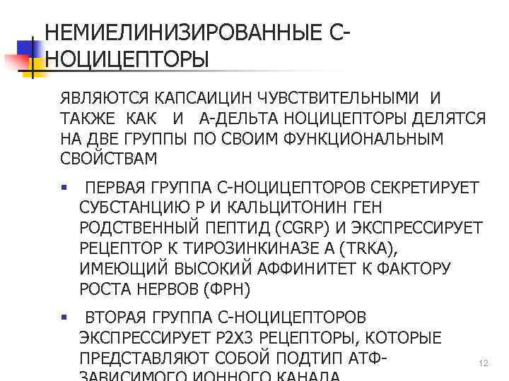 НЕМИЕЛИНИЗИРОВАННЫЕ СНОЦИЦЕПТОРЫ ЯВЛЯЮТСЯ КАПСАИЦИН ЧУВСТВИТЕЛЬНЫМИ И ТАКЖЕ КАК И А-ДЕЛЬТА НОЦИЦЕПТОРЫ ДЕЛЯТСЯ НА ДВЕ