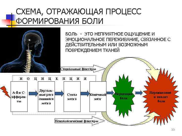 Схема фус восприятия боли