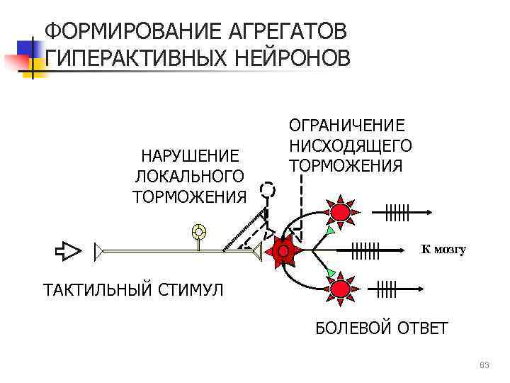 ФОРМИРОВАНИЕ АГРЕГАТОВ ГИПЕРАКТИВНЫХ НЕЙРОНОВ НАРУШЕНИЕ ЛОКАЛЬНОГО ТОРМОЖЕНИЯ ОГРАНИЧЕНИЕ НИСХОДЯЩЕГО ТОРМОЖЕНИЯ К мозгу ТАКТИЛЬНЫЙ СТИМУЛ