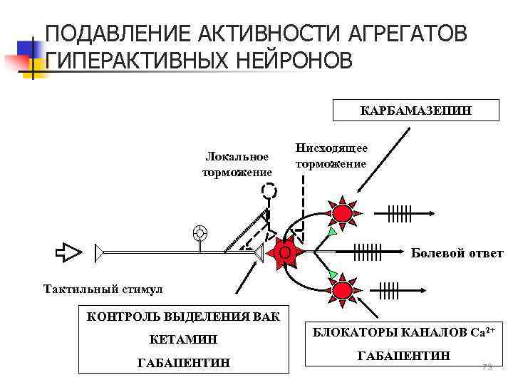 ПОДАВЛЕНИЕ АКТИВНОСТИ АГРЕГАТОВ ГИПЕРАКТИВНЫХ НЕЙРОНОВ КАРБАМАЗЕПИН Локальное торможение Нисходящее торможение Болевой ответ Тактильный стимул