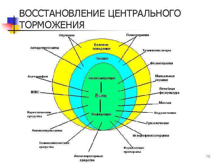 ВОССТАНОВЛЕНИЕ ЦЕНТРАЛЬНОГО ТОРМОЖЕНИЯ 75 