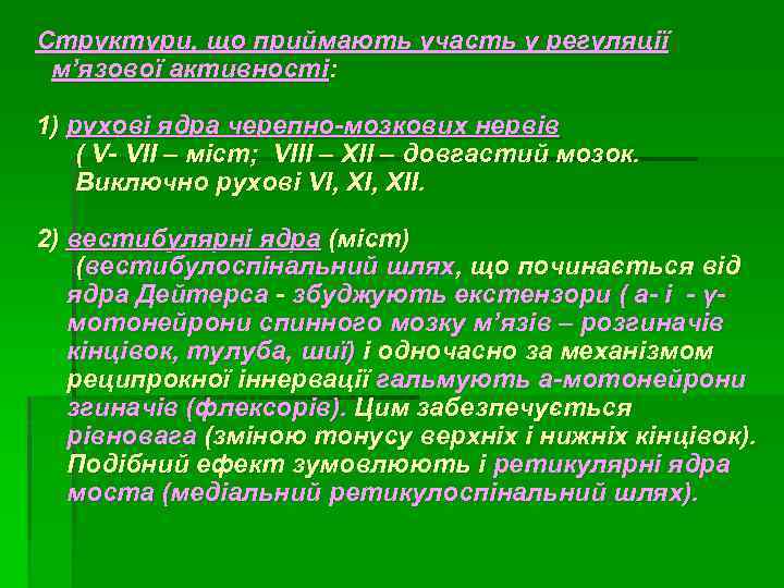 Структури, що приймають участь у регуляції м’язової активності: 1) рухові ядра черепно-мозкових нервів (