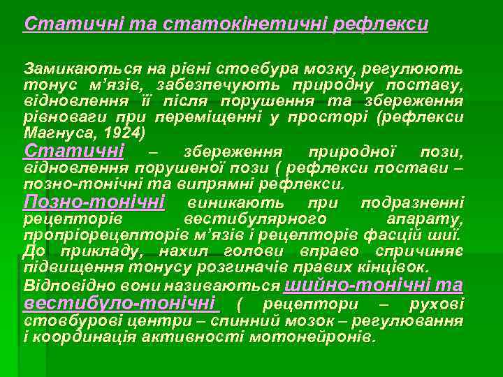 Статичні та статокінетичні рефлекси Замикаються на рівні стовбура мозку, регулюють тонус м’язів, забезпечують природну