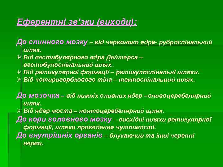 Еферентні зв’зки (виходи): До спинного мозку – від червоного ядра- руброспінальний шлях. Ø Від