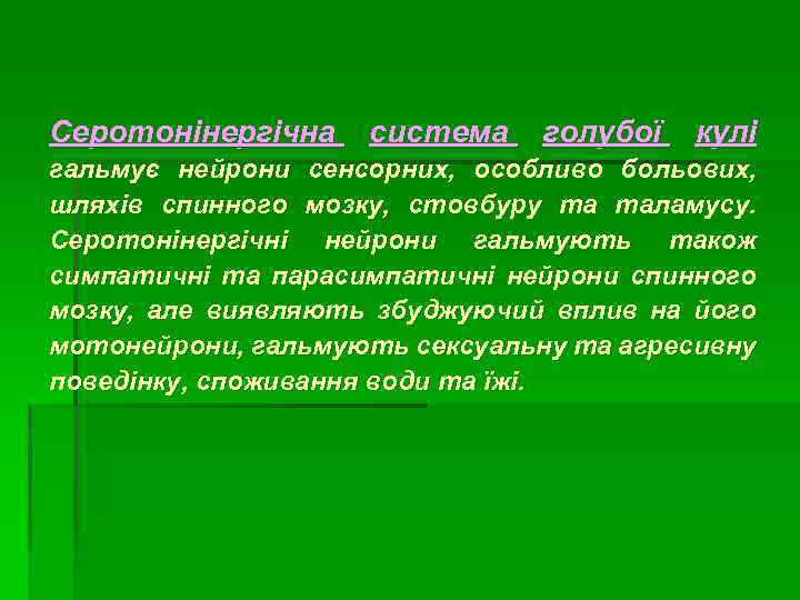 Серотонінергічна система голубої кулі гальмує нейрони сенсорних, особливо больових, шляхів спинного мозку, стовбуру та