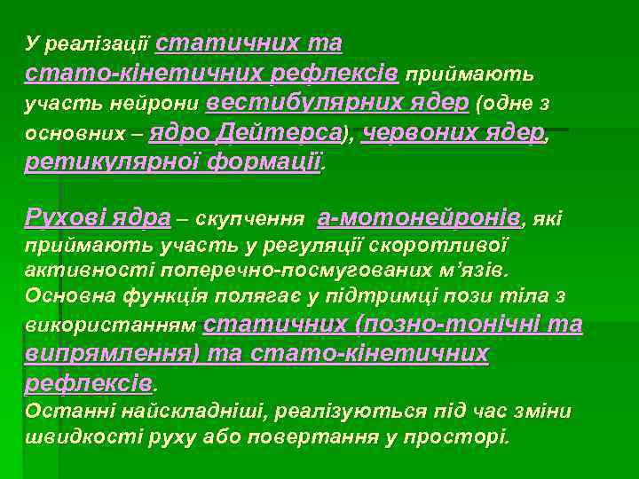 У реалізації статичних та стато-кінетичних рефлексів приймають участь нейрони вестибулярних ядер (одне з основних