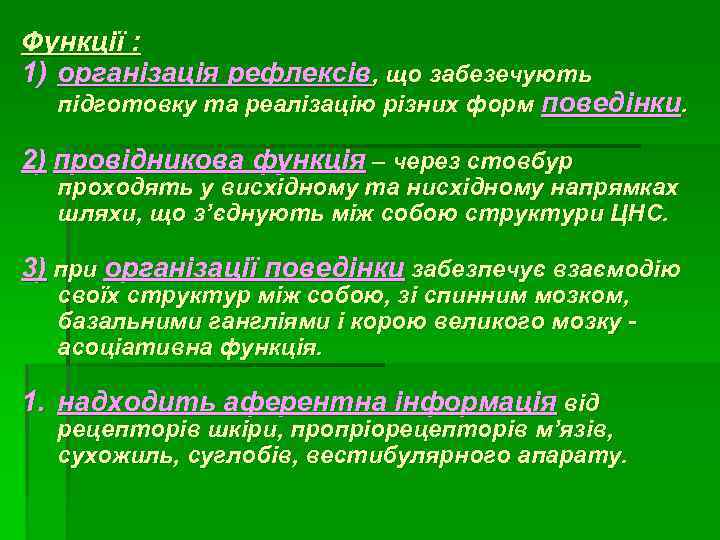 Функції : 1) організація рефлексів, що забезечують підготовку та реалізацію різних форм поведінки. 2)