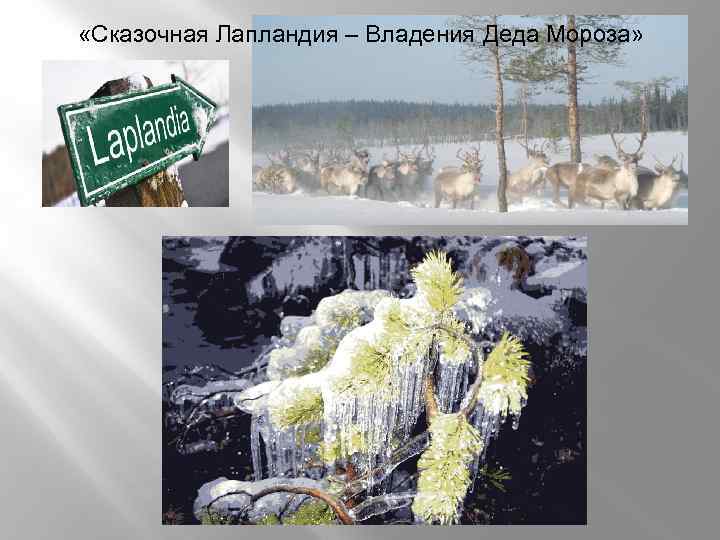  «Сказочная Лапландия – Владения Деда Мороза» 