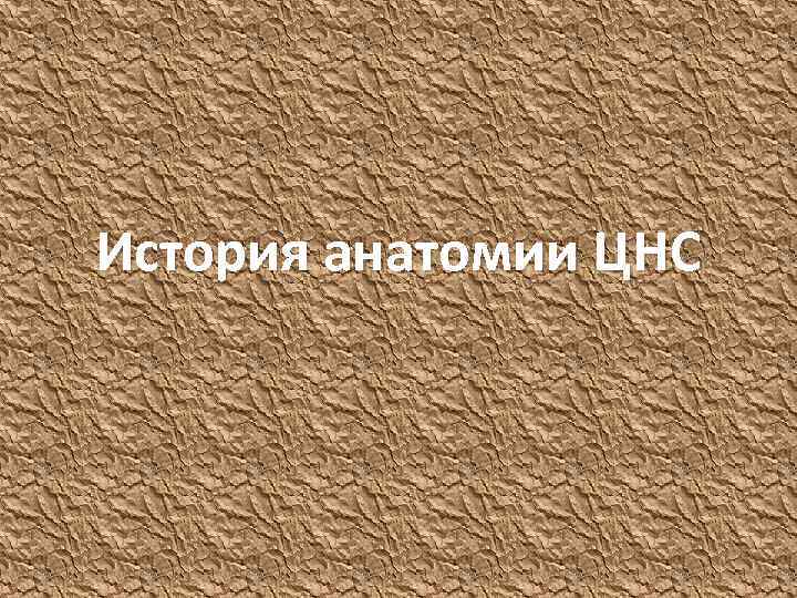 История анатомии ЦНС 