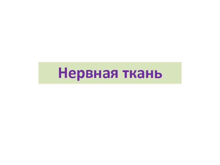 Нервная ткань 