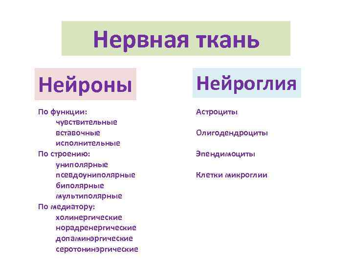 Нервная ткань Нейроны Нейроглия По функции: чувствительные вставочные исполнительные По строению: униполярные псевдоуниполярные биполярные