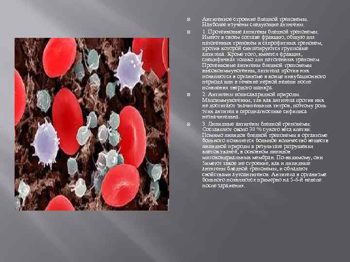  Антигенное строение бледной трепонемы. Наиболее изучены следующие антигены. 1. Протеиновые антигены бледной трепонемы.