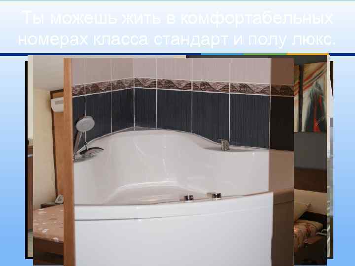 Ты можешь жить в комфортабельных номерах класса стандарт и полу люкс. 