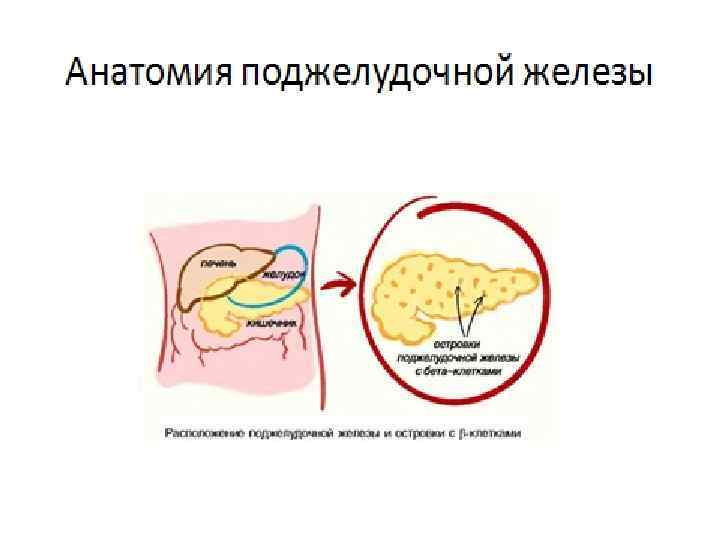 Презентация на тему сестринский уход при сахарном диабете