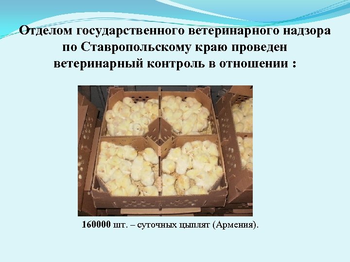 Отделом государственного ветеринарного надзора по Ставропольскому краю проведен ветеринарный контроль в отношении : 160000