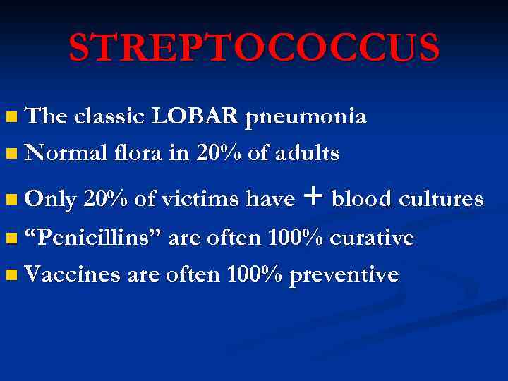 STREPTOCOCCUS n The classic LOBAR pneumonia n Normal flora in 20% of adults n