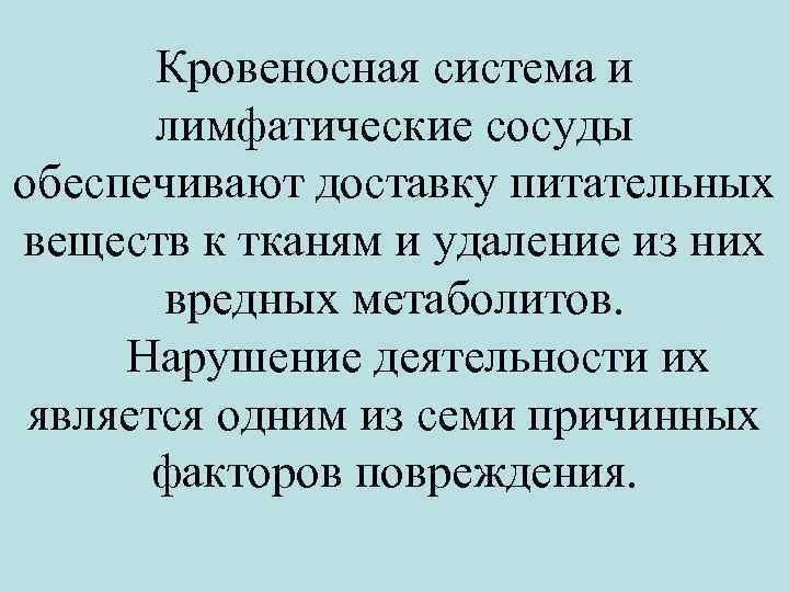 Кровеносная система и лимфатические сосуды обеспечивают доставку питательных веществ к тканям и удаление из