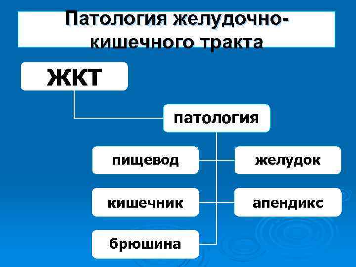 Патология желудочнокишечного тракта ЖКТ патология пищевод желудок кишечник апендикс брюшина 